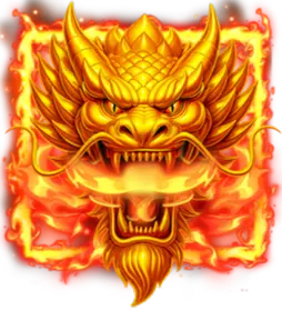 Dragon head Wild symbol from Coins of Dragon: Hold and Win paytable